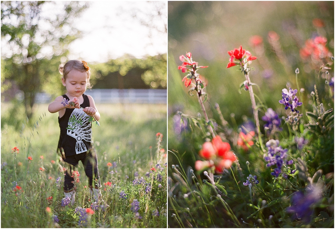 Colorado Field Photographs