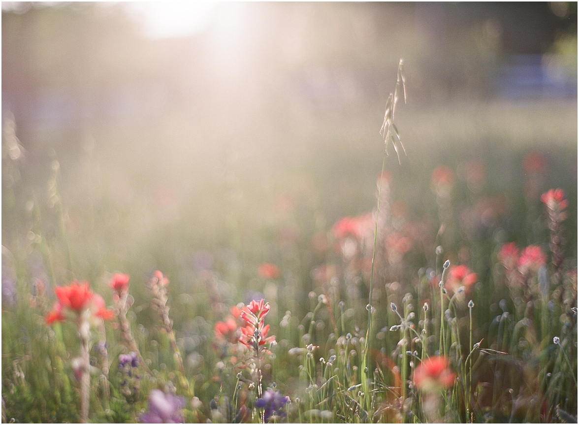 Colorado Wedding Photographers