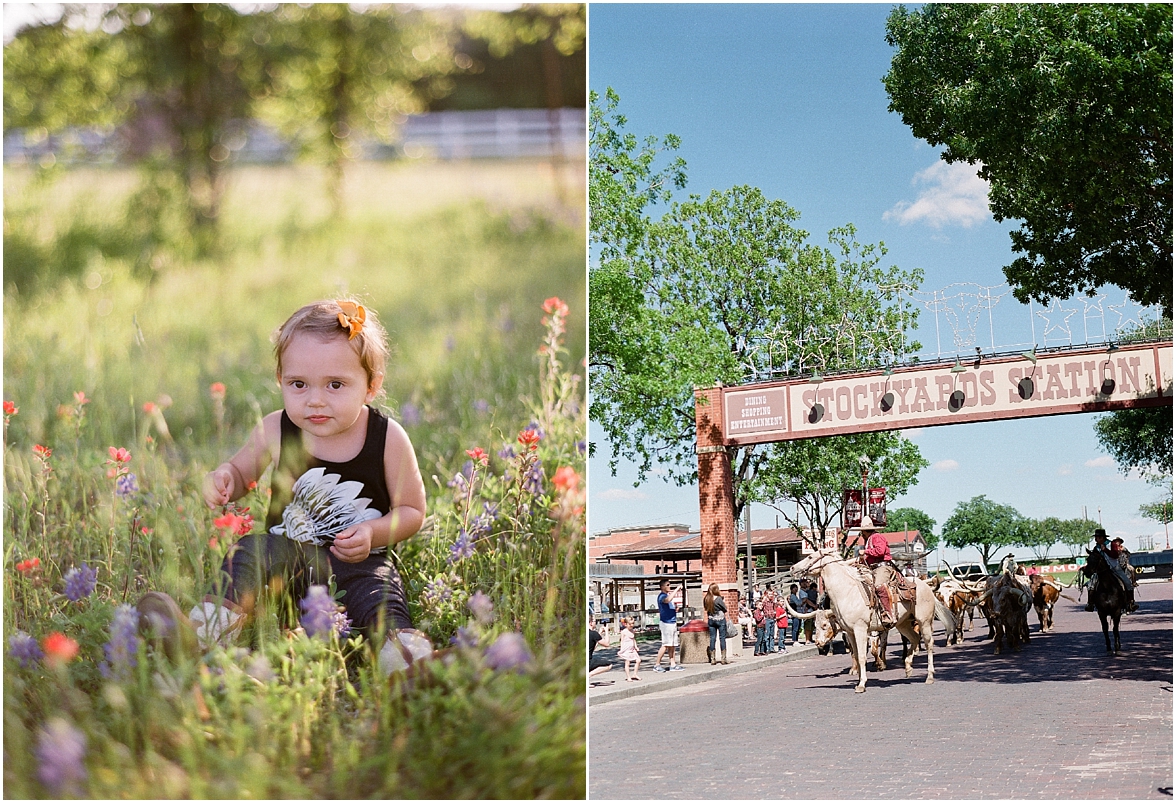 Horseback Riding In Colorado