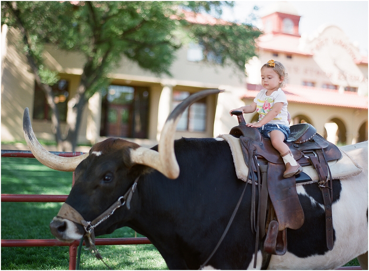 Bull Riding